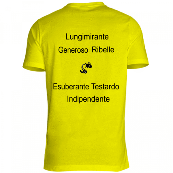Maglietta unisex adulto ACQUARIO