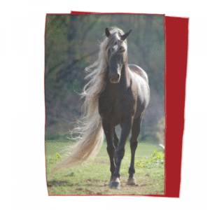 Coperta singola CAVALLO CRINIERA BIONDA