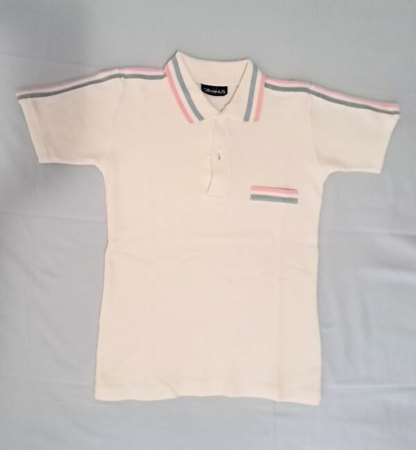POLO con righe colorate
